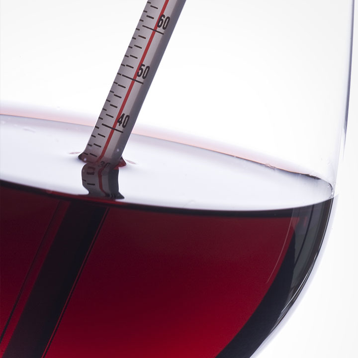 Wein richtig kühlen: Die ideale Trinktemperatur für jeden Weinstil