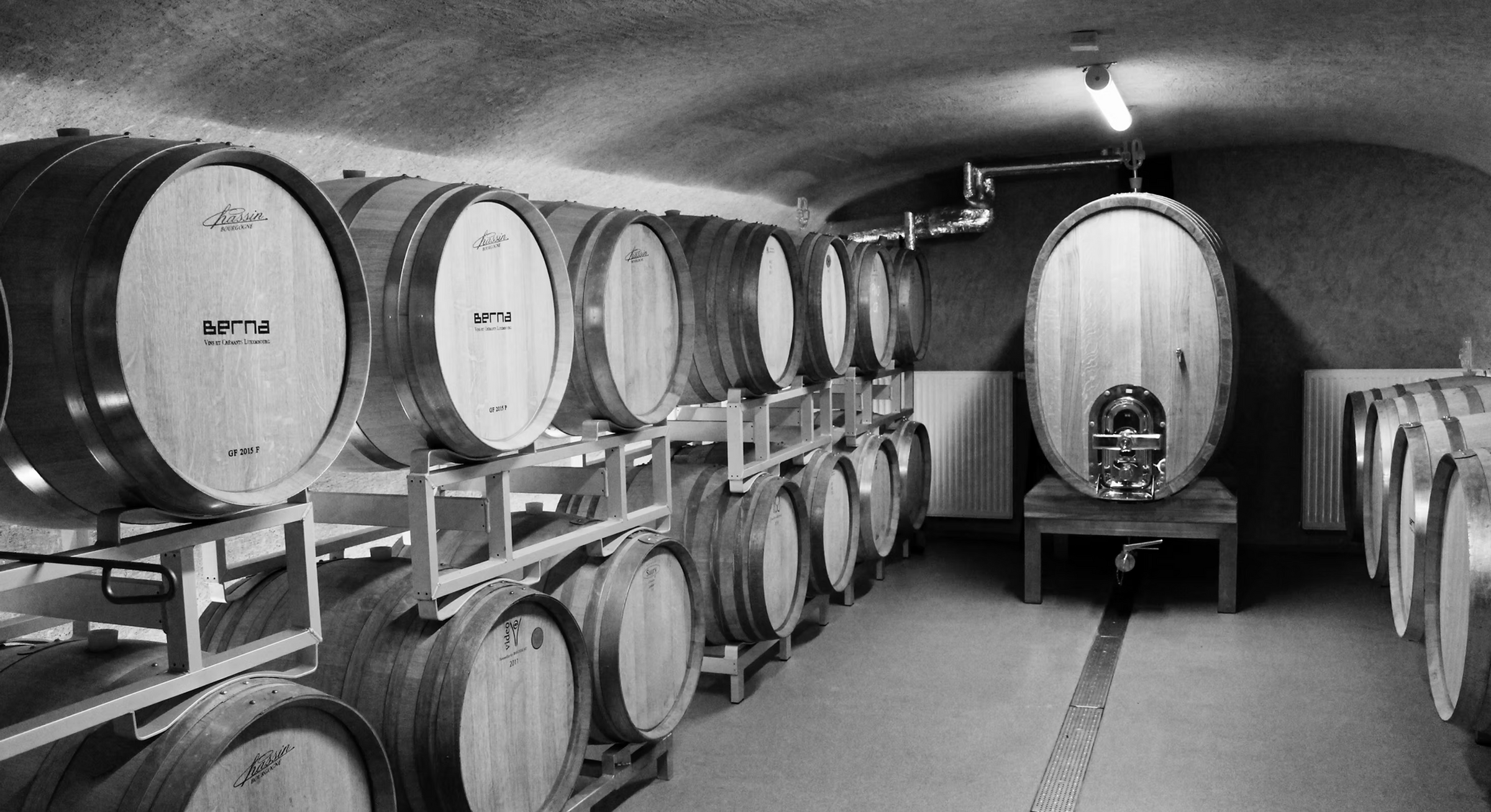Caves Berna