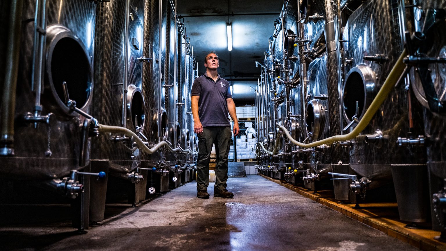 Domaine Schlink