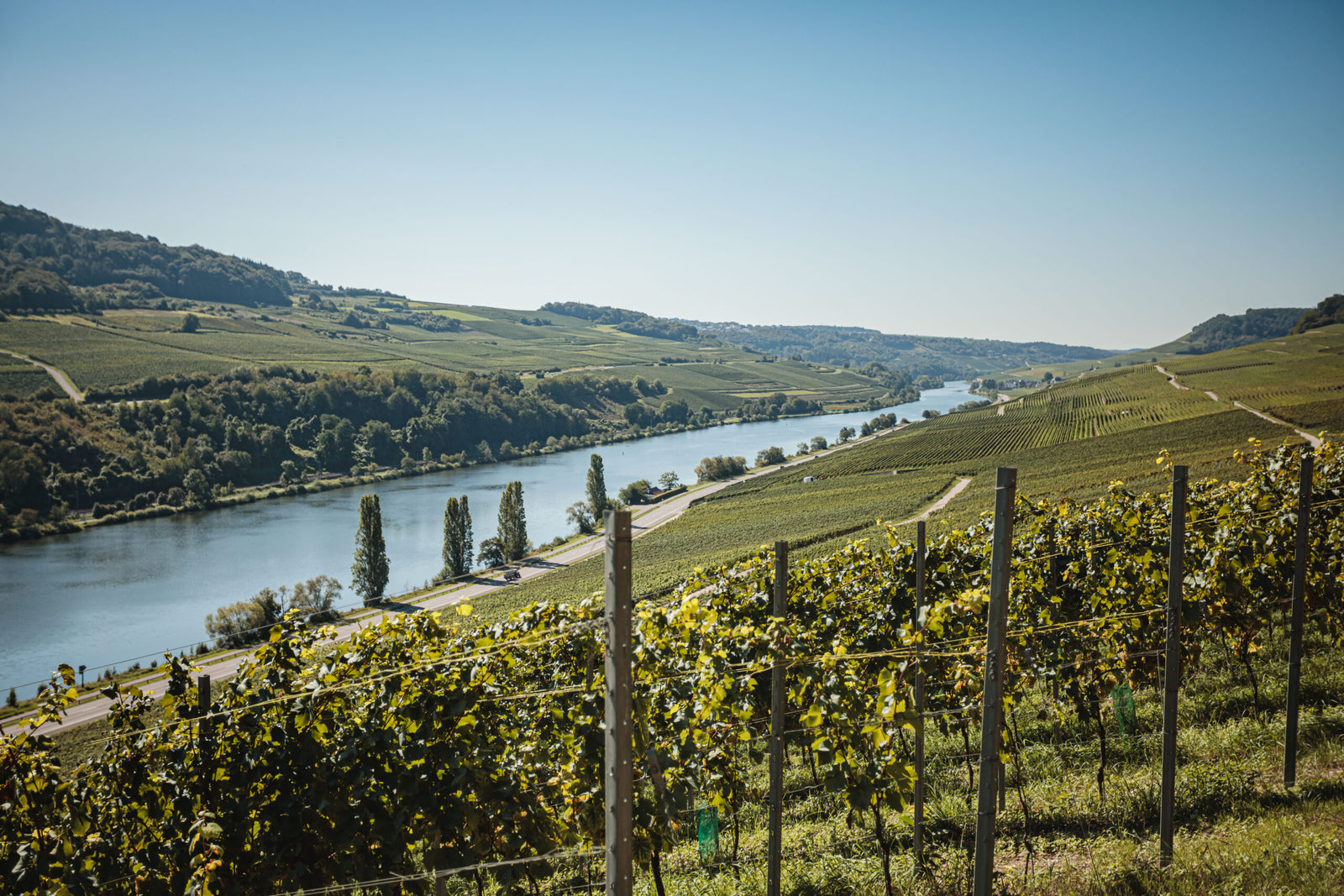 Maison Viticole Schmit-Fohl