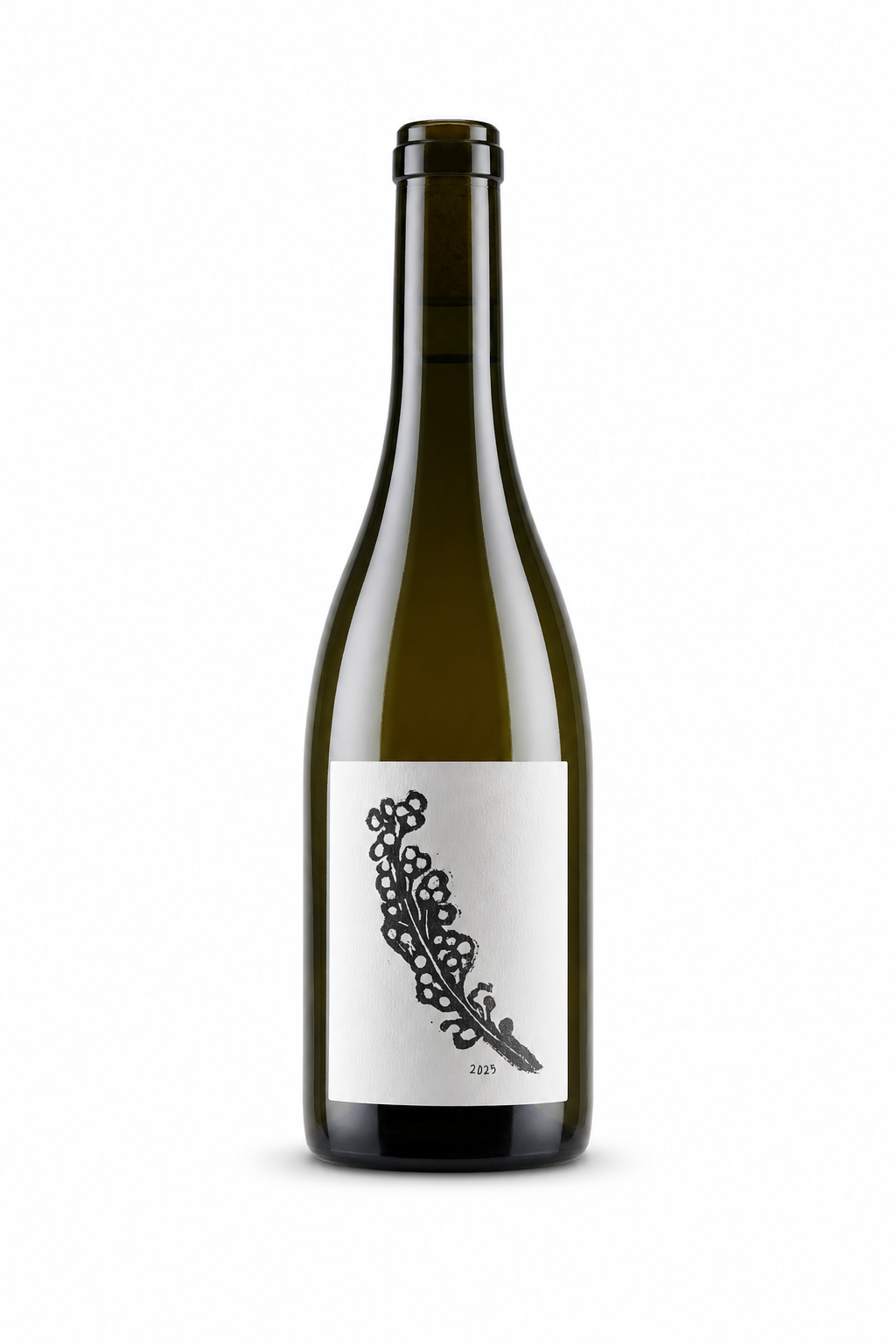 Hero image – Piwi Cuvée
